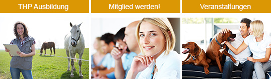 Verband Deutscher Tierheilpraktiker VDT