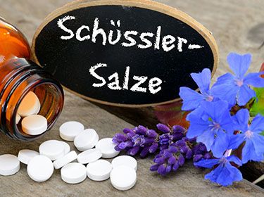 Spagyrik & Schüßler-Salze in der Tierheilkunde